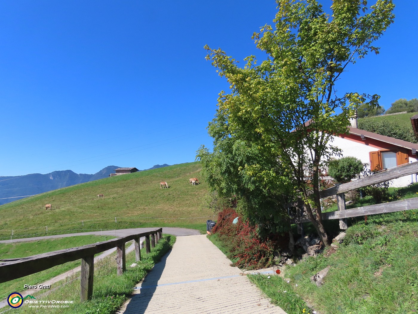 59 La casetta baciata dal sole.JPG